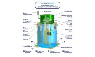 ГРИНЛОС Аква 5 Пр - фото 4