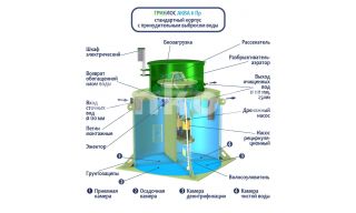 ГРИНЛОС Аква 6 Пр - фото 4
