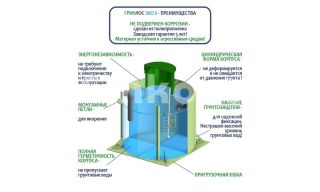 ГРИНЛОС Эко 6 - фото 4