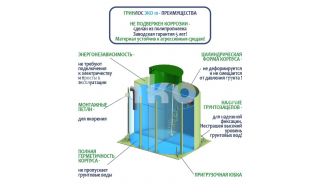ГРИНЛОС Эко 10 - фото 4
