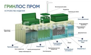 ГРИНЛОС БМ 50 - фото 3