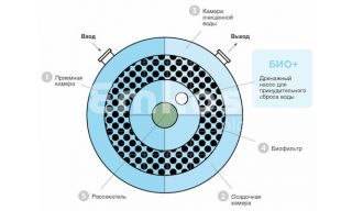 Евролос Био 12+ - фото 4