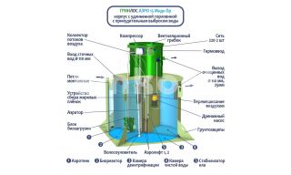 ГРИНЛОС Аэро 15 Пр Миди - фото 2
