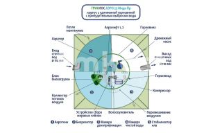 ГРИНЛОС Аэро 25 Пр Миди - фото 3
