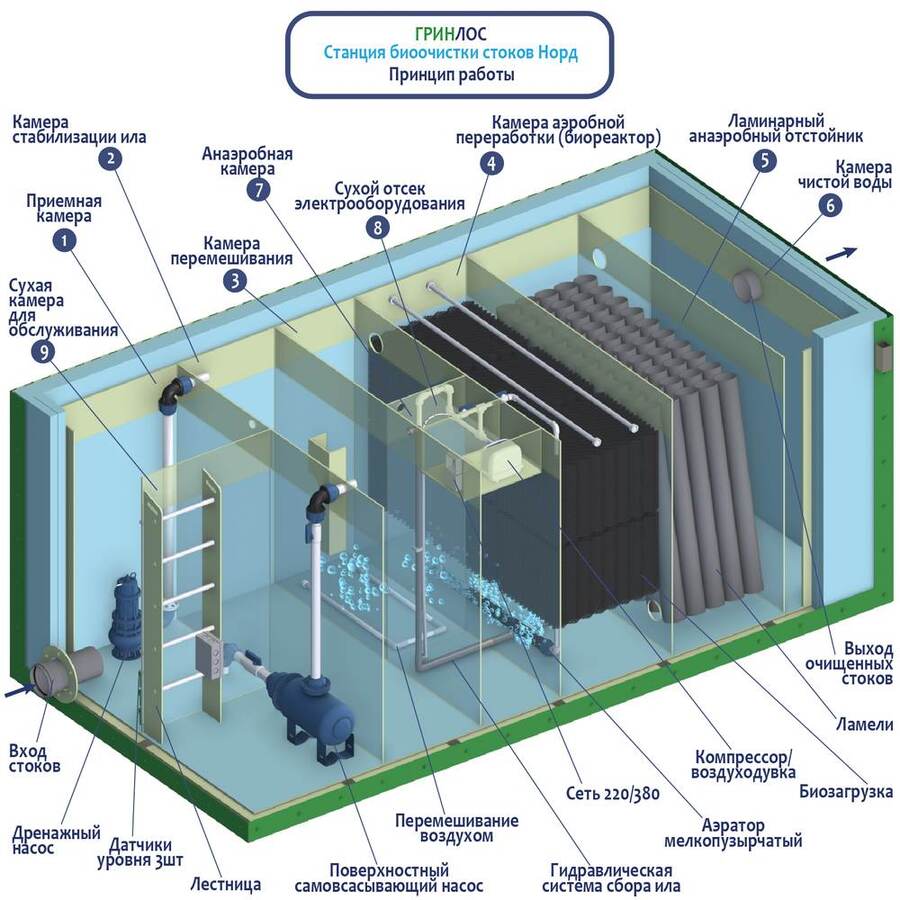 Гринлос Норд