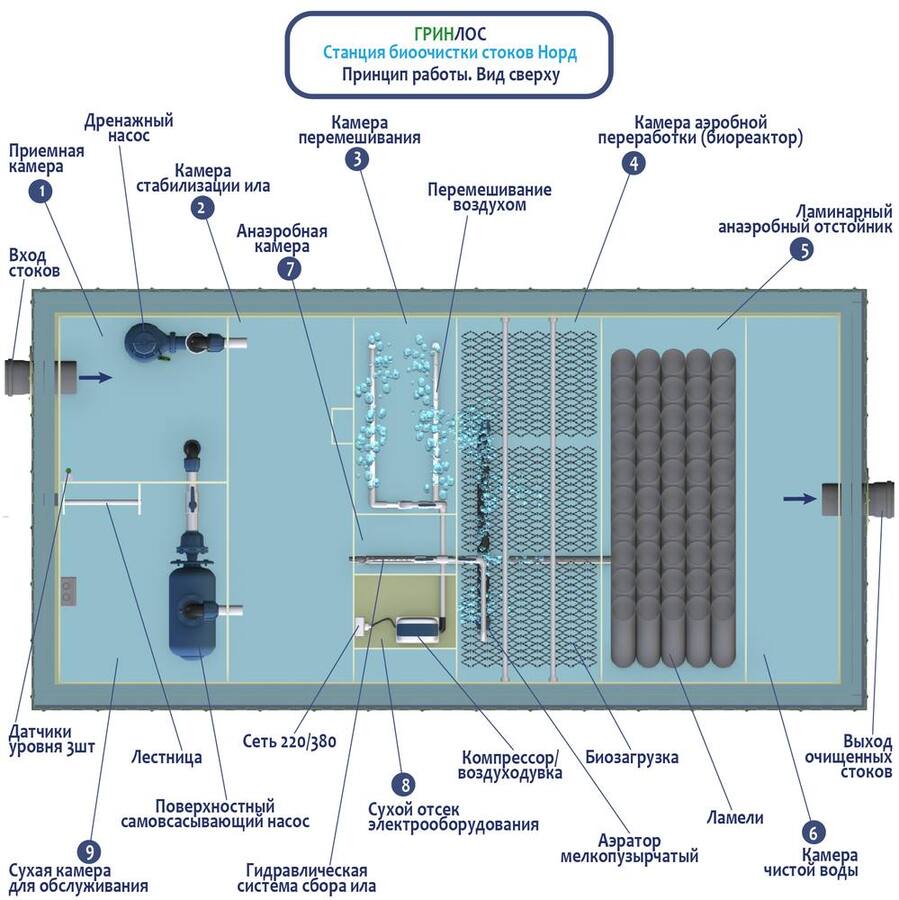 Гринлос Норд